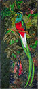 El Quetzel