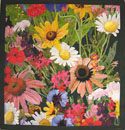 Florabundance