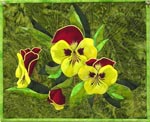 Pansies