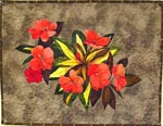 Impatiens